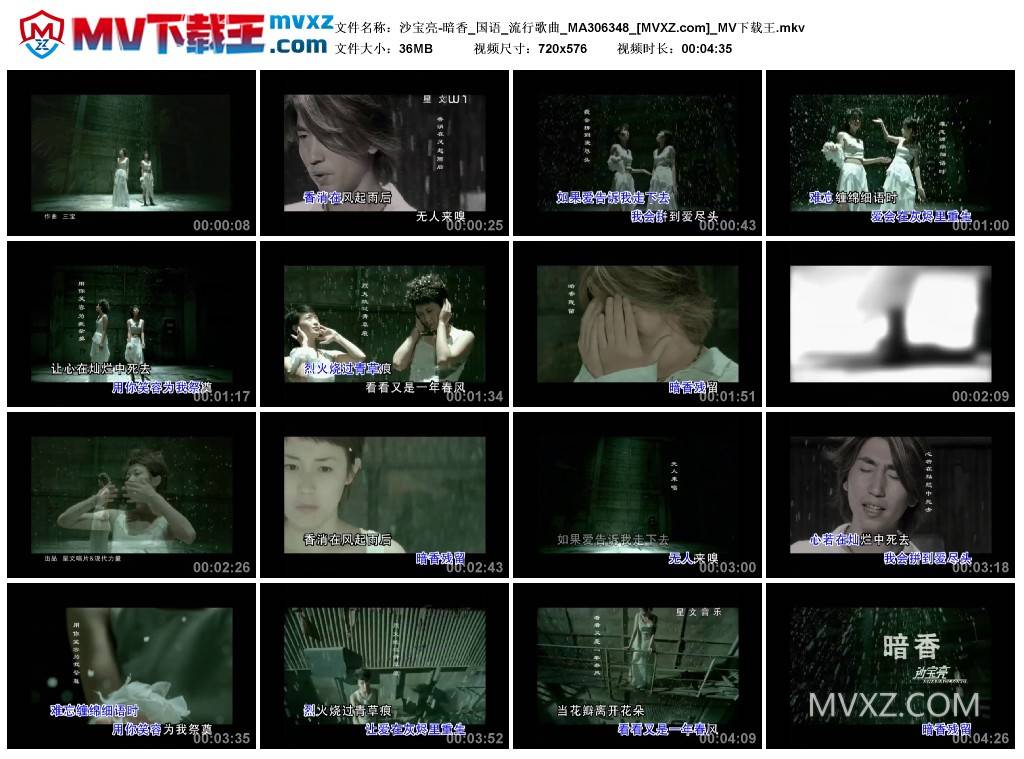 沙宝亮-暗香_国语_流行歌曲_MA306348